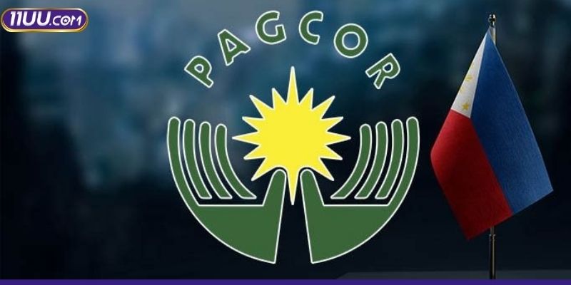 Tìm hiểu toàn diện về giấy phép hoạt động